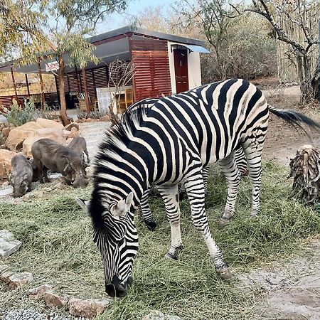 Kholiwe On Kruger Lodge & Safaris 玛洛斯帕克 外观 照片