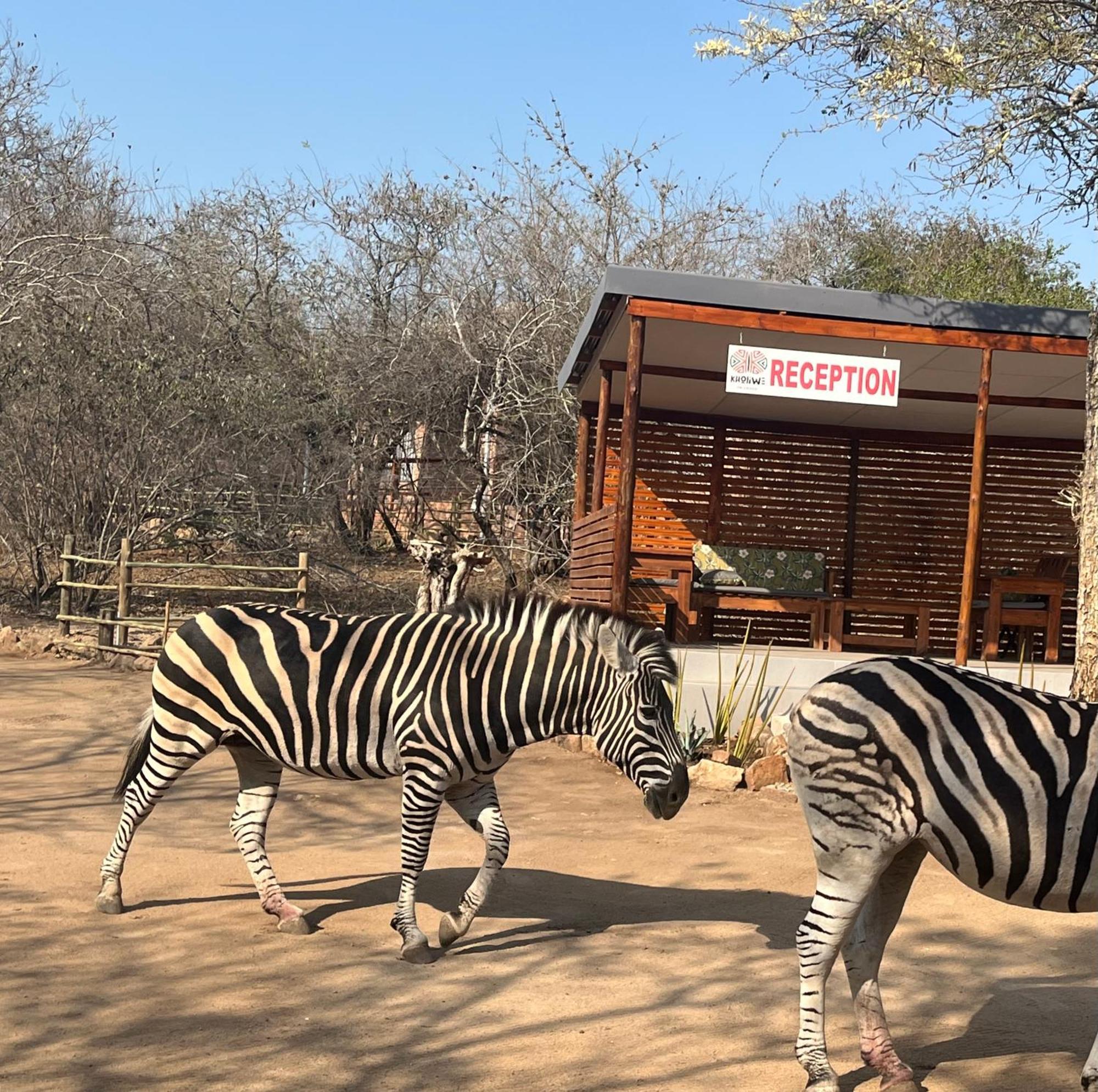 Kholiwe On Kruger Lodge & Safaris 玛洛斯帕克 外观 照片