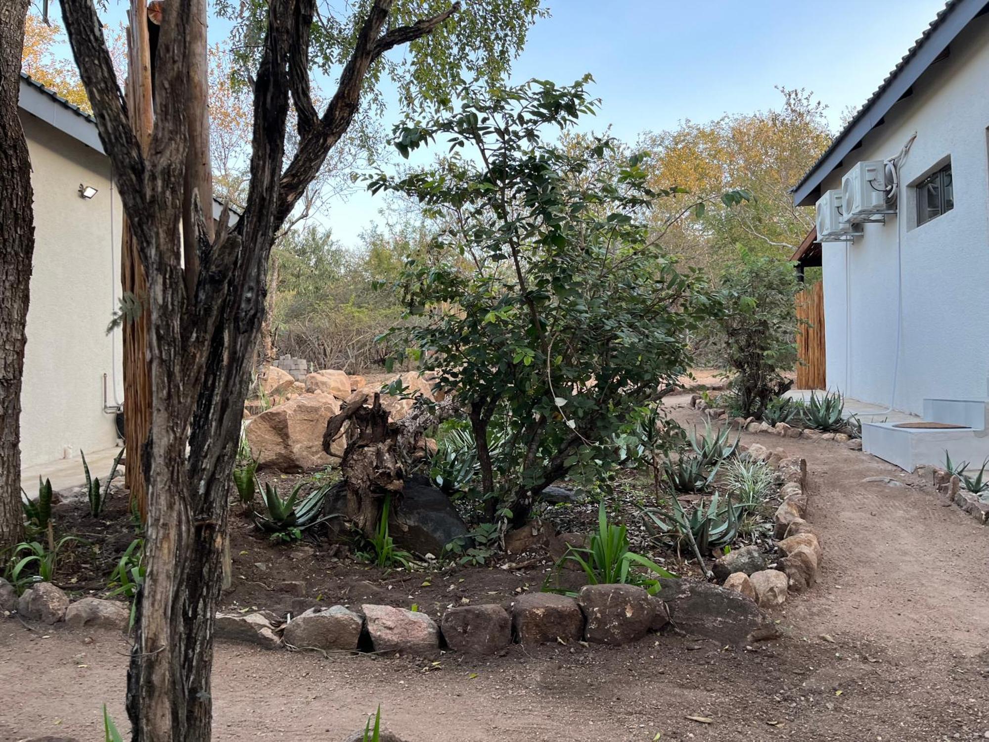 Kholiwe On Kruger Lodge & Safaris 玛洛斯帕克 外观 照片