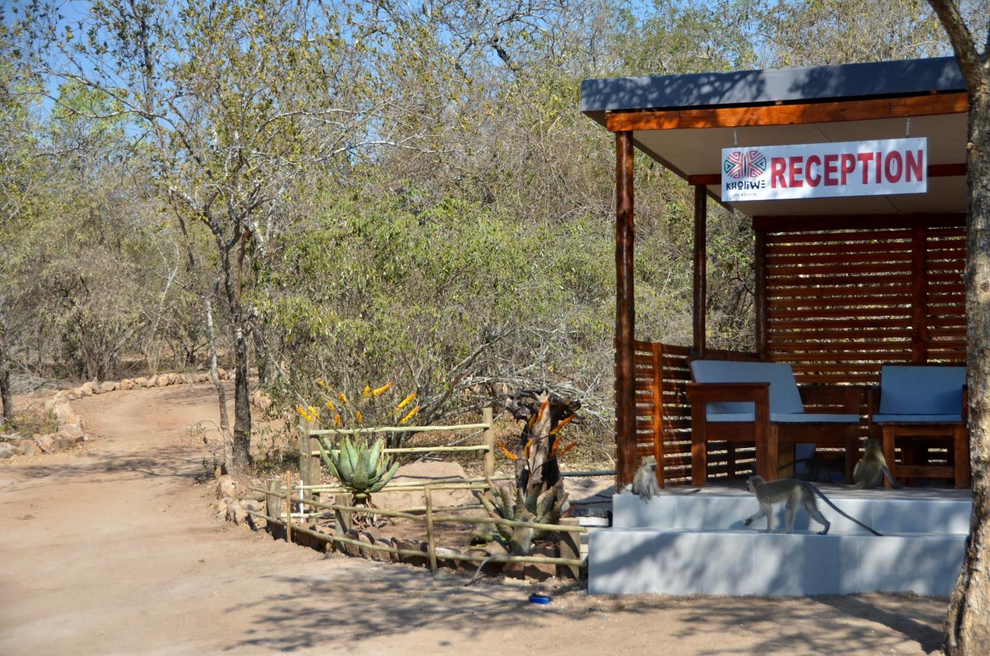 Kholiwe On Kruger Lodge & Safaris 玛洛斯帕克 外观 照片