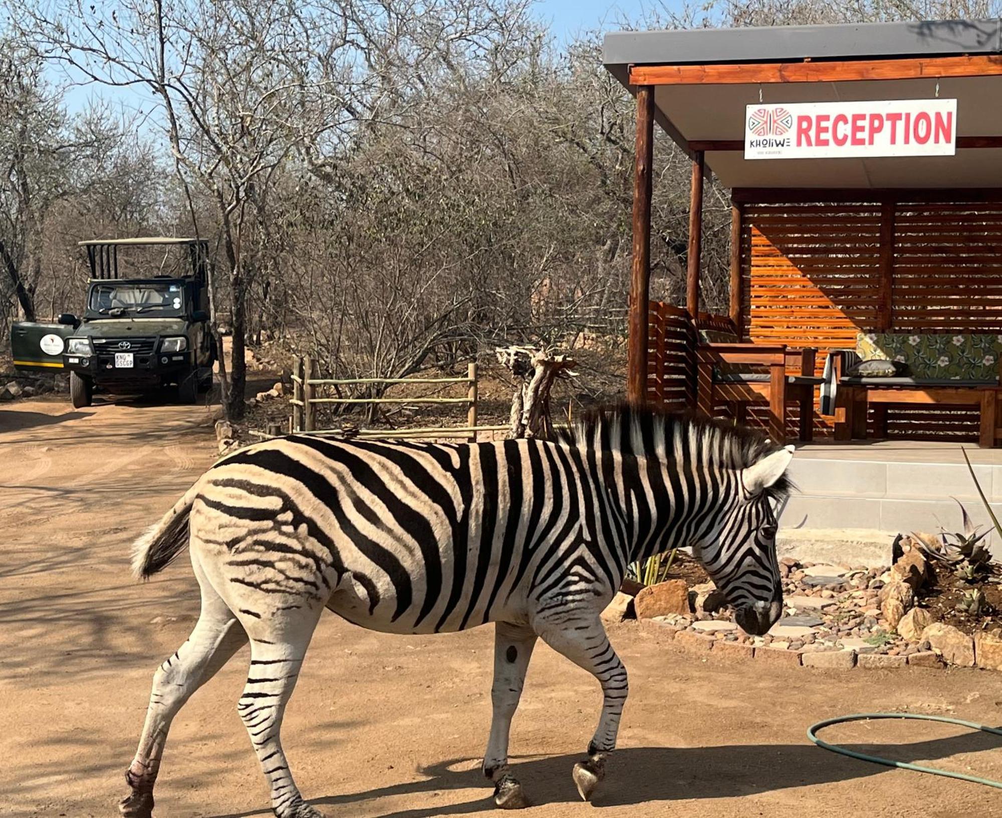 Kholiwe On Kruger Lodge & Safaris 玛洛斯帕克 外观 照片